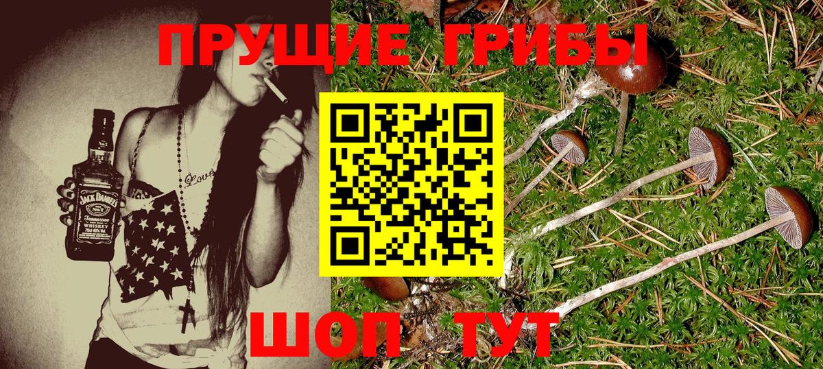 Москва  Псилоцибиновые грибы Magic Shrooms  Вход с VPN 
