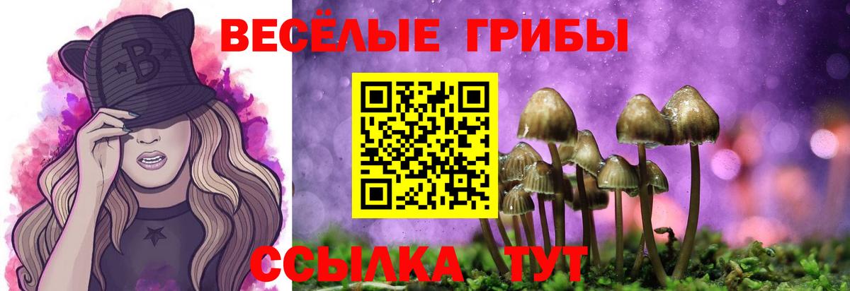 Галлюциногенные грибы MAGIC MUSHROOMS Москва